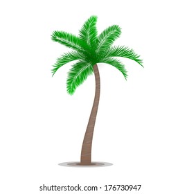 Tropical palm tree symbol isolated vector illustration