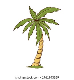 Tropische Palme, Vektorgrafik. Eingeschlossenes Objekt. Naturgrüne Sommerpflanze