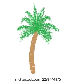 Tropical palm tree. Vector illustration
