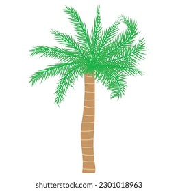 Tropical palm tree. Vector illustration