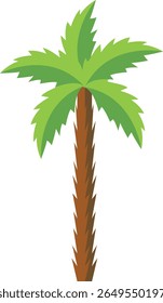 Ilustración vectorial de palmera tropical aislada sobre fondo blanco.