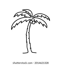Tropical palm tree vector line icon. Coconut tree with nuts. Continuous line art vector illustration.
