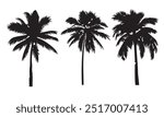 Tropical palm tree vector silhouette. Hand-drawn vector illustration. 