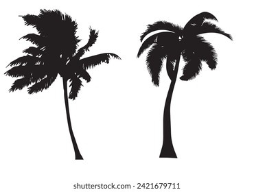 Tropical palm tree vector silhouette. Hand-drawn vector illustration. 