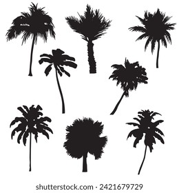 Tropical palm tree vector silhouette. Hand-drawn vector illustration. 