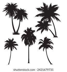 Silhouette vectorial de palmera tropical. Ilustración vectorial dibujada a mano. 