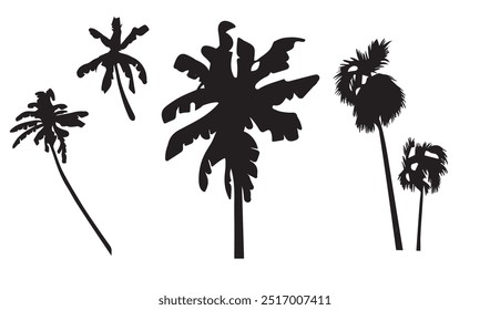 Tropical palm tree vector silhouette. Hand-drawn vector illustration. 