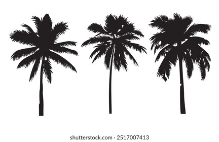 Tropical palm tree vector silhouette. Hand-drawn vector illustration. 