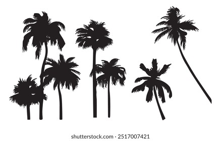 Tropical palm tree vector silhouette. Hand-drawn vector illustration. 