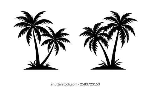 Tropical palm tree vector silhouette. Hand-drawn vector illustration.