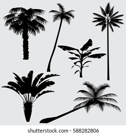 Tropical palm tree vector silhouettes isolated on white background