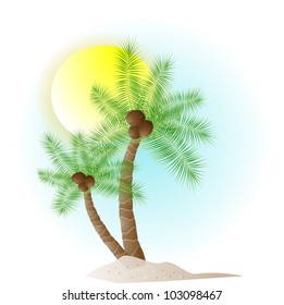 Tropical palm trees