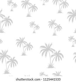 Tropical palm trees