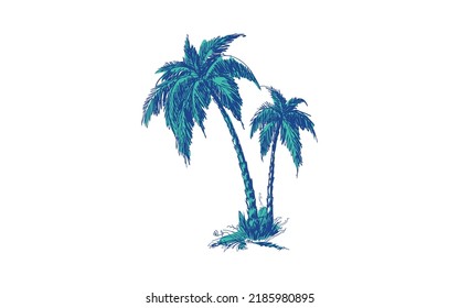 Tropical palm trees, black silhouettes and outline contours on white background. Vector