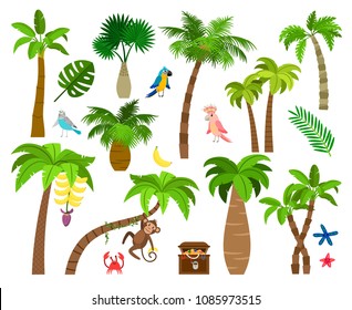 Tropical palm trees. Brazil nature elements like different palm leaves, parrot and monkey vector illustration isolated on white background