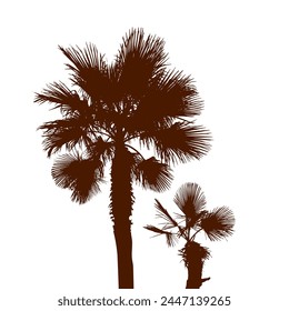 Tropical palm trees, brown silhouettes and outline contours on white background. hand drawing. Not AI. Vector illustration