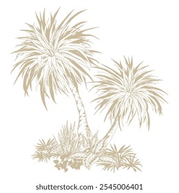 Tropical palm trees clipart. Hand drawn tropical illustration. Botanical sketch composition.