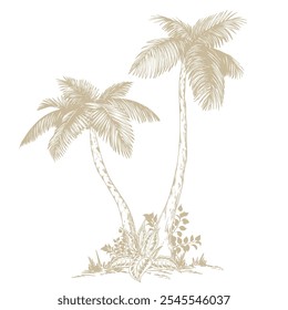 Tropical palm trees clipart. Hand drawn tropical illustration. Botanical sketch composition.