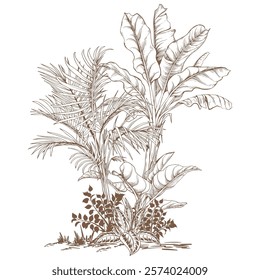 Tropical palm trees clipart. Hand drawn tropical illustration. Botanical sketch composition.