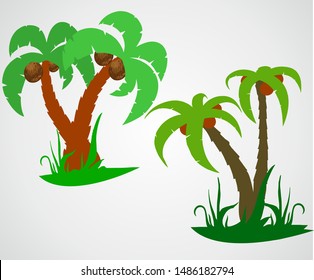 Tropical palm trees, Coconut tree Green herbs in the roots VECTOR illustration svg