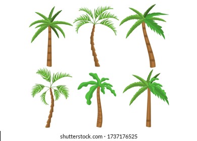 Tropical palm trees. Exotic palm trees concept for summer banners. 2d game