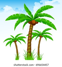 Tropical palm trees with green leaves and coconuts again blue sky. Vector illustration.