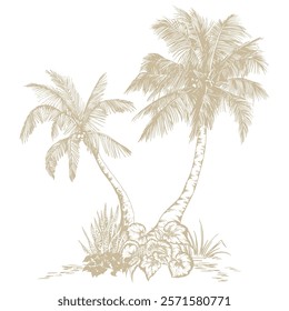 Tropical palm trees. Hand drawn tropical illustration. Botanical sketch composition.
