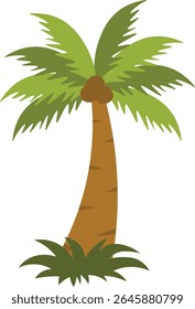 Tropical Palm Trees Illustration with Simple Cartoon Design. Isolated Vector