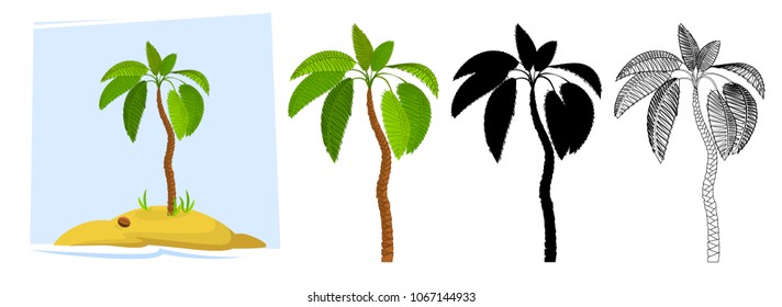 Tropical palm trees. Illustration of a palm tree, black silhouettes and outline contours isolated on white background. Vector