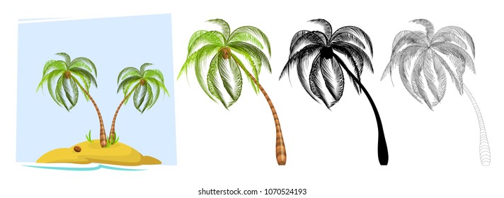 Tropical palm trees. Illustration of a palm tree, black silhouettes and outline contours isolated on white background. Vector
