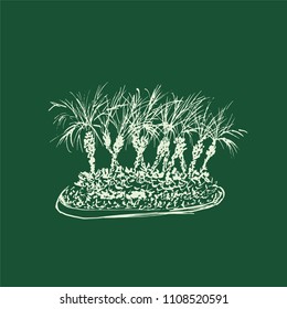 Tropical palm trees isolated on dark green background. Illustration of coconut palms group. Hand drawn vector sketch.