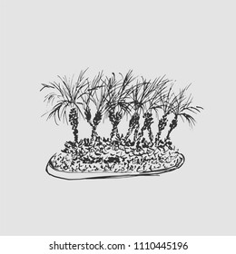 Tropical palm trees isolated on light background. Illustration of coconut palms group. Hand drawn vector sketch. Gray colors.