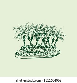 Tropical palm trees isolated on light green background. Illustration of coconut palms group. Hand drawn vector sketch.