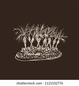 Tropical palm trees isolated on dark background. Illustration of coconut palms group. Hand drawn vector sketch. Brown and beige colors.