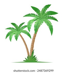 Tropical palm trees isolated on white background. Coconut trees. Vector illustration in flat style