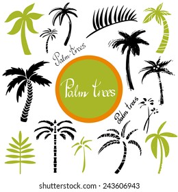 Tropical palm trees and leaves cartoon hand drawn illustrations set isolated on a white background, art logo design 