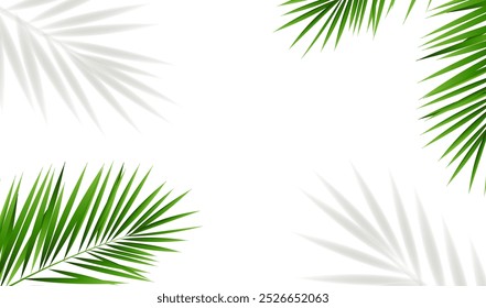 Hojas De Las Palmeras Tropicales Aisladas Con El Fondo Blanco Con La Malla Del Gradiente, Ilustración vectorial