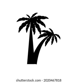 tropical palm trees with leaves, mature and young plants, black silhouettes isolated on white background