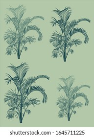 palmeras o hojas tropicales, vectorial