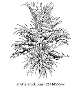 Tropical palm trees and philodendron leaves arrangement. Black and white hand drawn vector illustration.