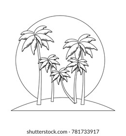 tropical palm trees scene