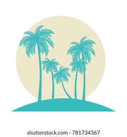 tropical palm trees scene