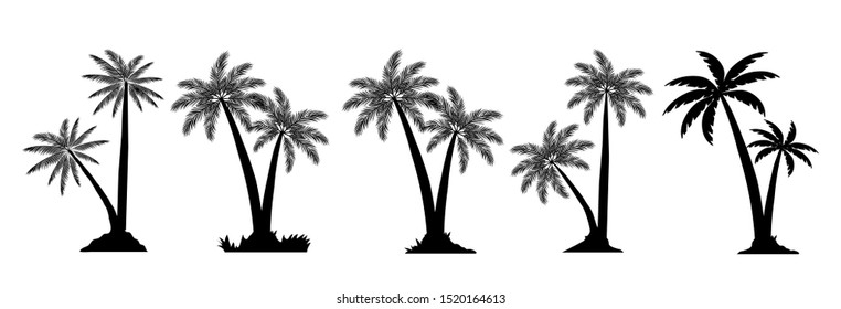 Tropical Palm Trees Set Silhouettes. Vector illustration Black isolated on white background. Illustration In Nature Style. For Web Banners, Posters, Cards, Wallpapers. 