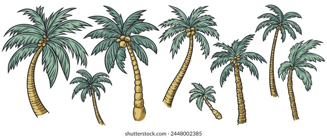 Tropical palm trees set for sunny beach design of surf culture. Exotic plants collection or palm leaves for island paradise.