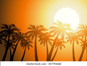 Tropical palm trees silhouette at sunrise .