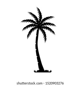 Tropical Palm Trees Silhouettes. Vector illustration Black isolated on white background. Illustration In Nature Style. For Web Banners, Posters, Cards, Wallpapers. 
