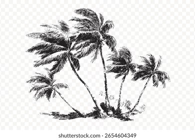 Tropical Palm Trees Sketch Art Vector Illustration, Isolated on Transparent Background, PNG Image of Island Scene