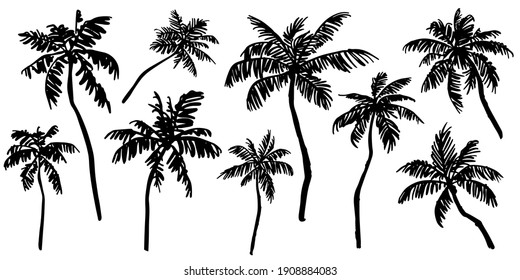 Tropical palm trees sketch set. Realistic black silhouettes of palm trees isolated on white  background. Vector illustration