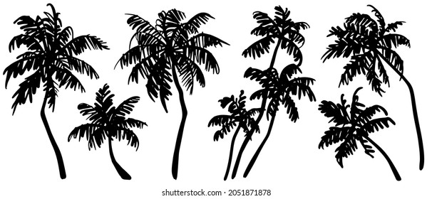 Tropical palm trees sketch set. Realistic black silhouettes of palm trees isolated on white background. Vector illustration