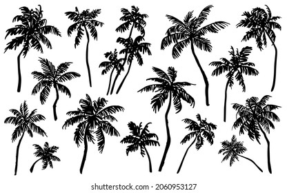 Tropical palm trees sketch set. Realistic black silhouettes of palm trees isolated on white background. Vector illustration